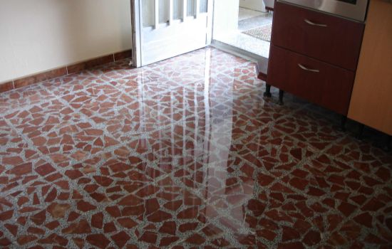 Terrazo cristalizado con Productos Leopard
